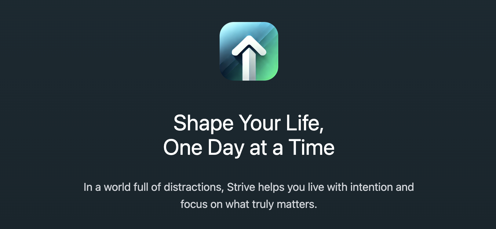 Strive Planner Website